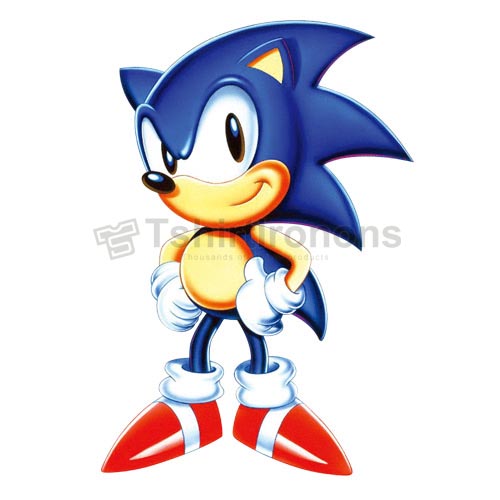 Sonic the Hedgehog T-shirts Iron On Transfers N7979 - Click Image to Close